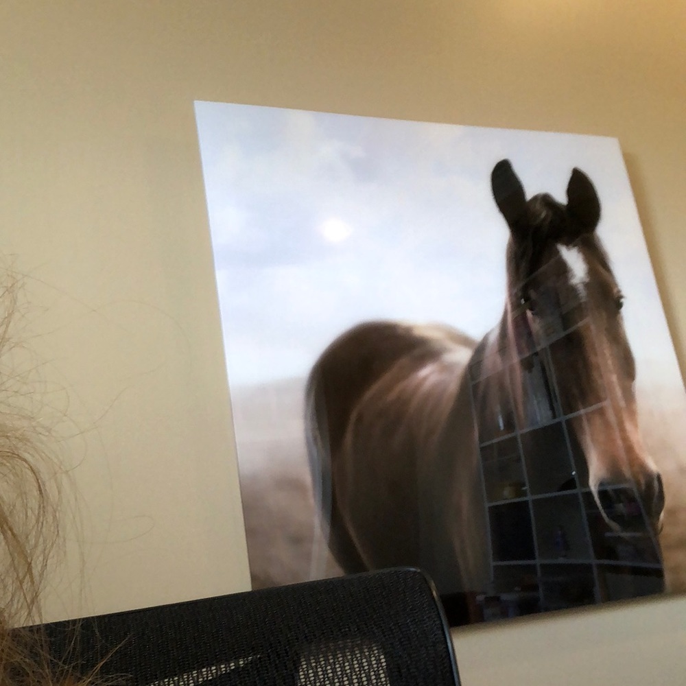 Meet your Posher, Terri